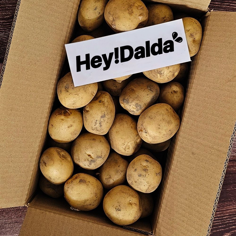 [26년 햇 감자출하] 26년 햇 감자 수미감자 3kg 5kg 10kg