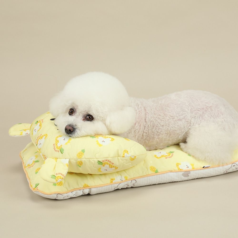 리토가토 강아지 고양이 인견 쿨링 매트 여름 애견 애묘용 더블사이즈 펫 쿨매트 방석