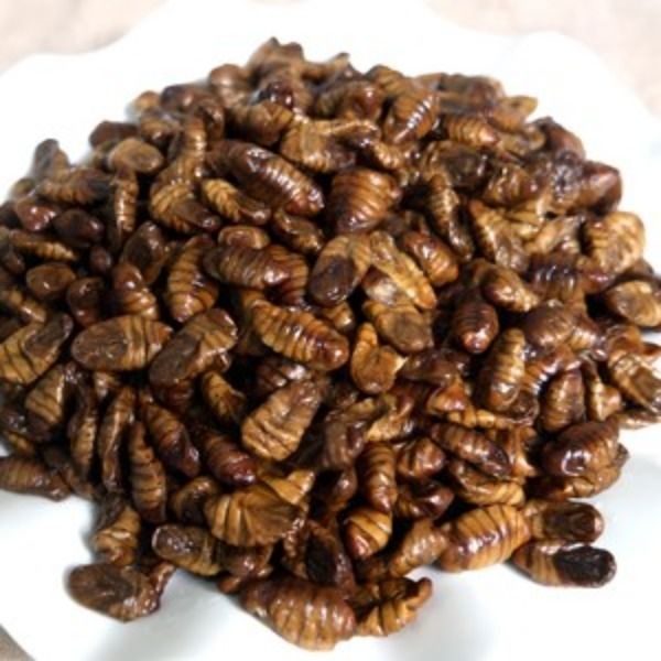 냉동 번데기 4kg 무염 무첨가 고단백 대용량 술안주 추억의간식