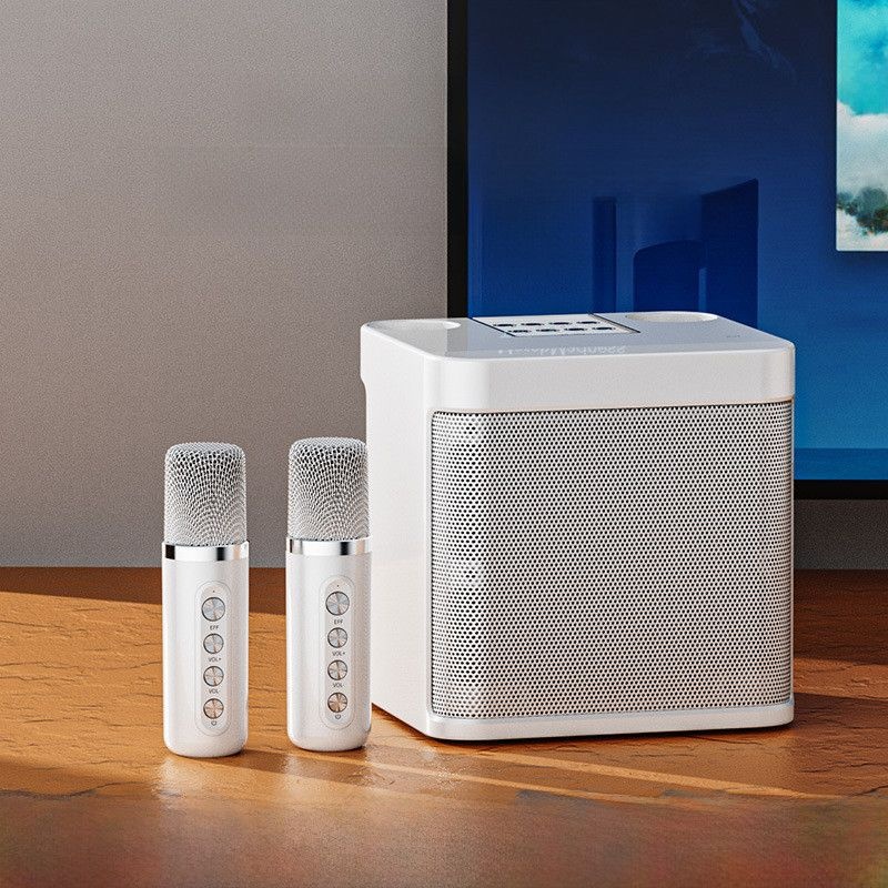 [해외] 휴대용 블루투스 스피커 올인원 노래방 무선 마이크 고음질 풍부한 음량 간편한 사용 가성비 좋은 선물