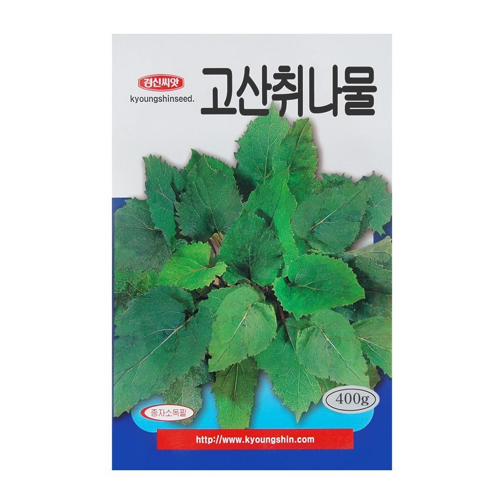 취나물씨앗 고산취나물 400g 향긋한 참취 여러해 수확