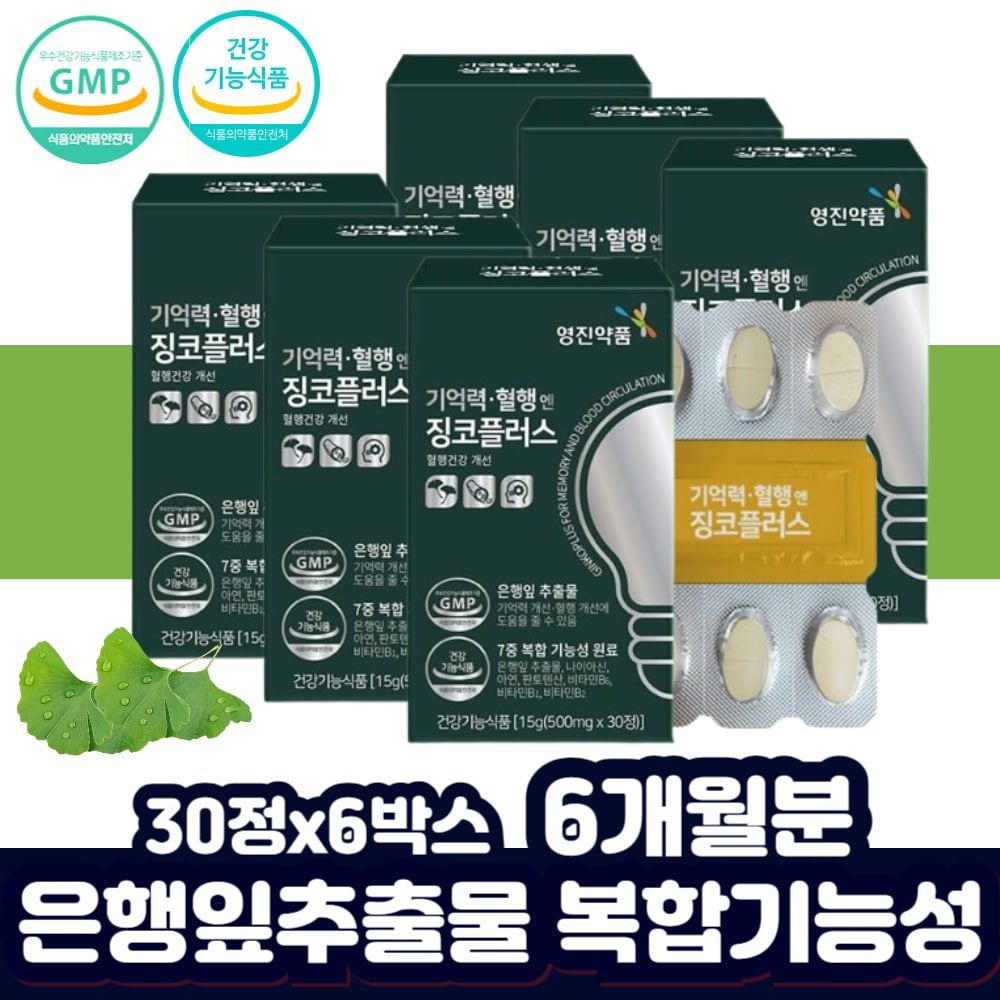 징코빌로바 중년 여성 판토텐산 나이아신 비타민B2 B6 플라보놀 배당체 회사원 아빠 기억 면역 60대 실버 어르신