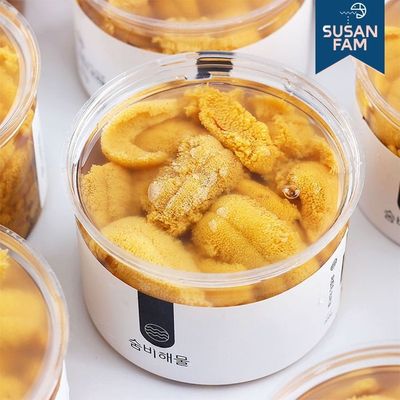 보라색 성게