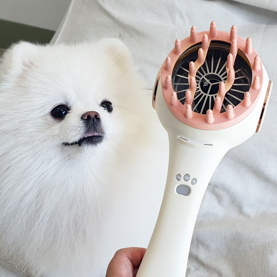 포그밍 반려동물 관리기