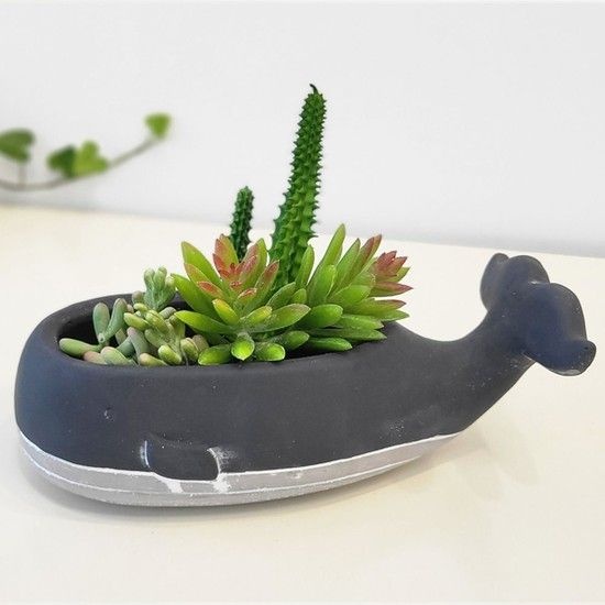 도자기화분 Carnic japan 큰고래 블랙