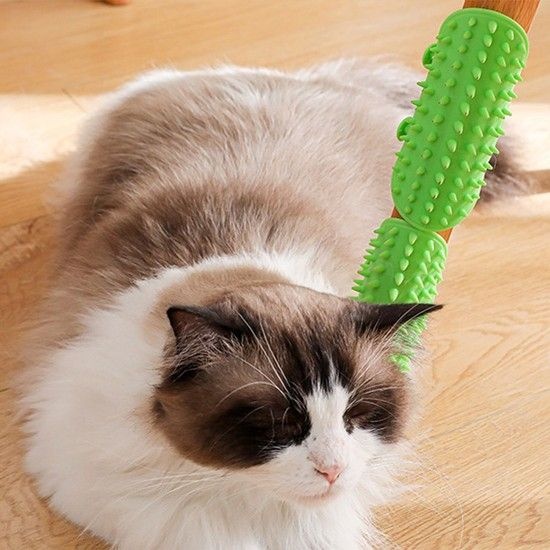 고양이 코너 부착 셀프그루머 긁기그루밍 펫 그루밍 고양이빗 고양이긁기 그루밍브러쉬