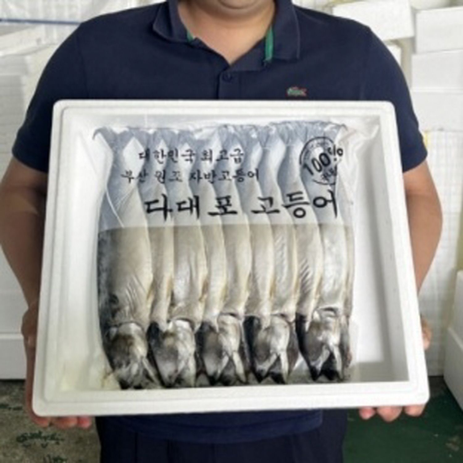 [산지직송] 부산 다대포 자반고등어 10미