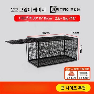 꿀 오소리 총 벽지