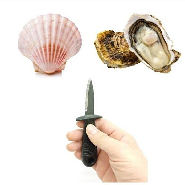 [셀러허브 패션][JHO71369_53D4]석화 조개 굴 손질칼 바지락 꼬막 막칼