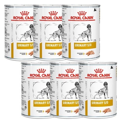 로얄캐닌 독 유리너리 SO 캔 410g x6개 결석관리
