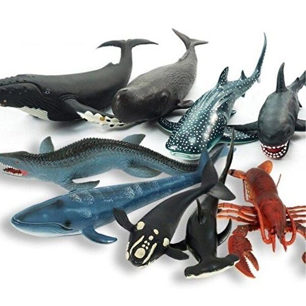 [셀러허브 1]반디 소프트 해양 9종세트