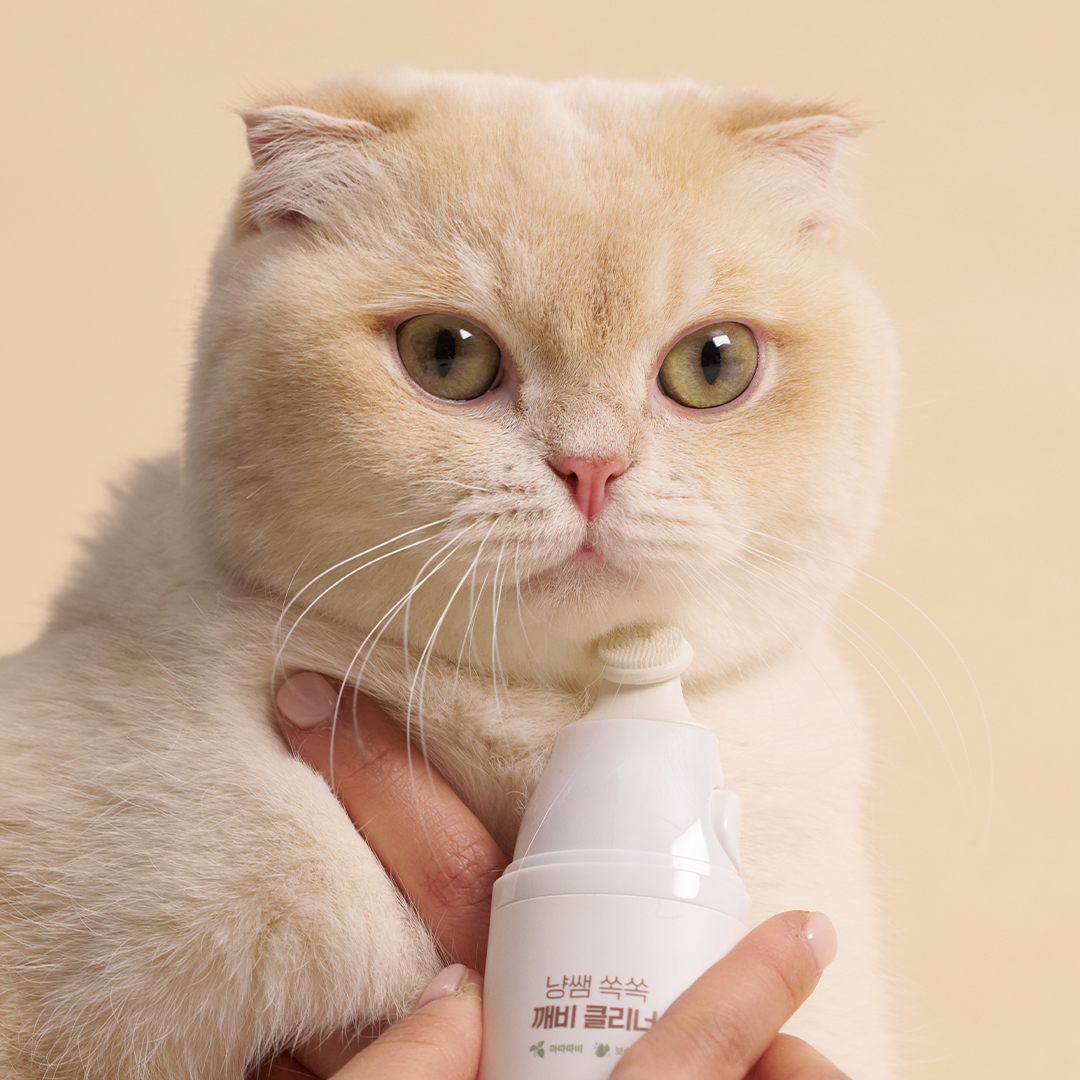 [오늘출발] 냥쌤 고양이 턱드름 관리 쏙쏙 깨비 클리너 30ml