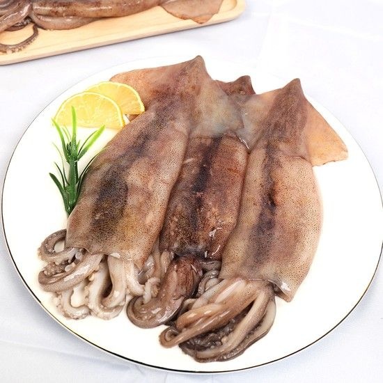 [미식한가] 원양산 냉동 손질 통오징어 (팩당 260g 내외) 2미 x 5팩