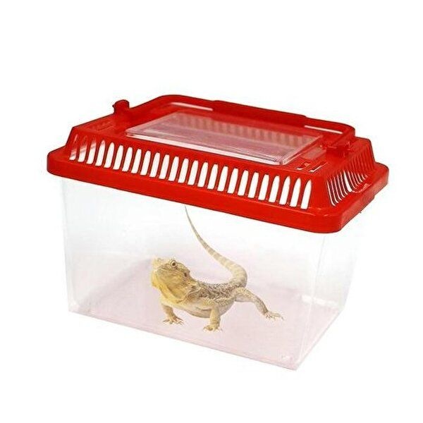 [셀러허브 1]곤충채집 곤충채집통