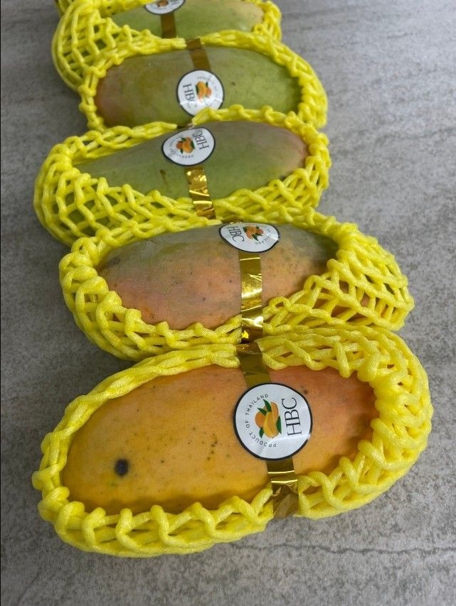 깟화롭망고 무지개생망고 제주미니애플망고 카라바오망고 코끼리망고/마하차녹 무지개망고 2kg(3-7과)