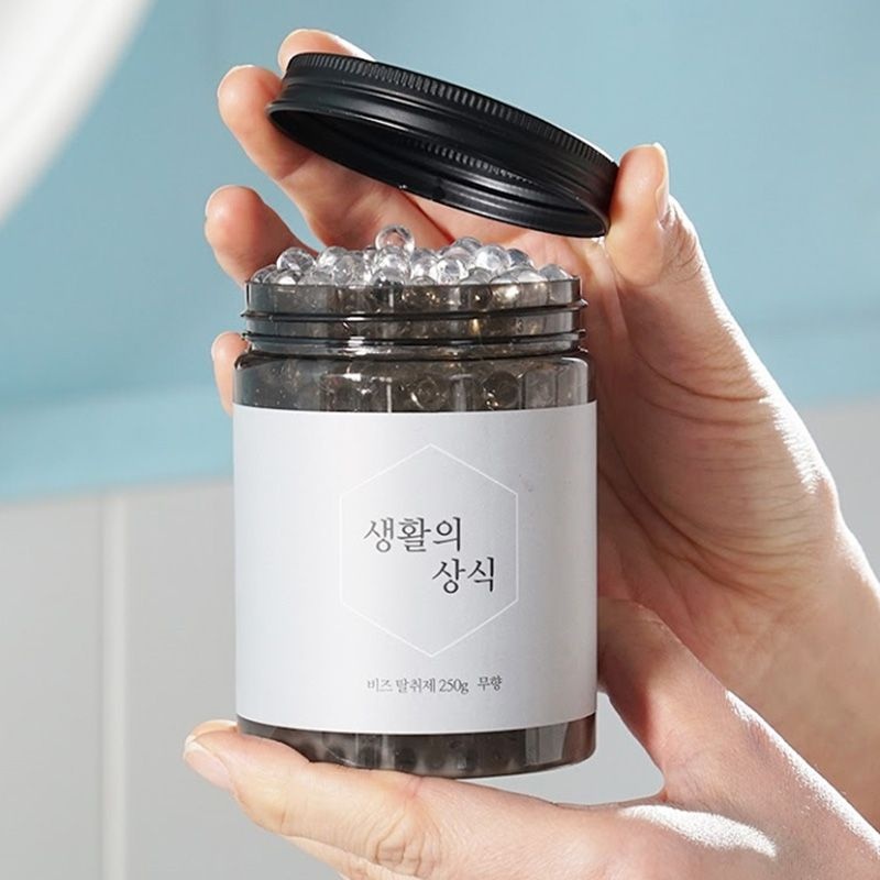 생활의 상식 비즈 탈취제 무향 250g(다용도 냉장고 차량 옷장 신발장 찬장 선반 트렁크)