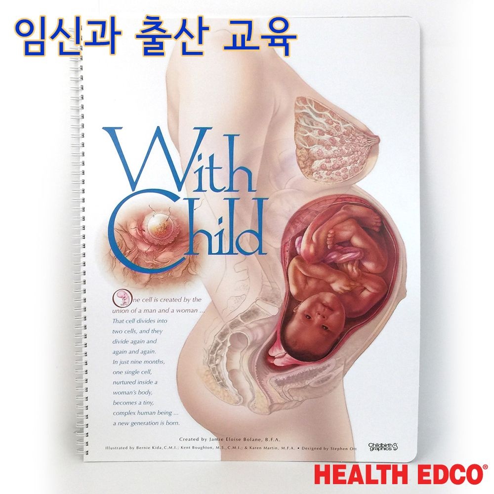 종로의료기상사 출산주기차트 43319 임신출산교육 태아발달차트