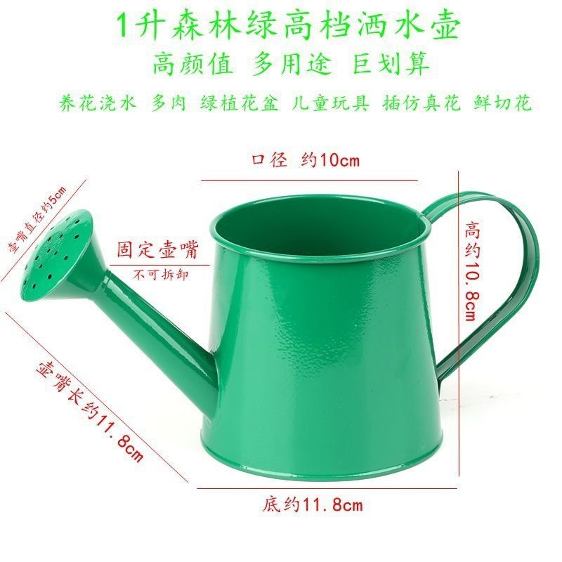 버들인터내셔널 협력사 [해외] 스텐 물조리개 물뿌리개 분사 화분 물주기 꽃 식물 원예용품