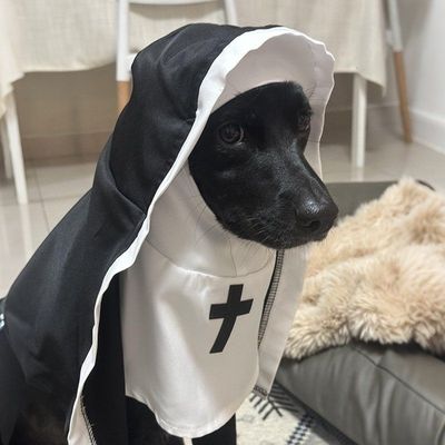 아이들을위한 개 할로윈 의상