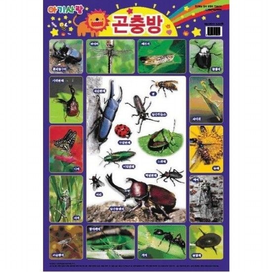 아기사랑 곤충방(벽보)