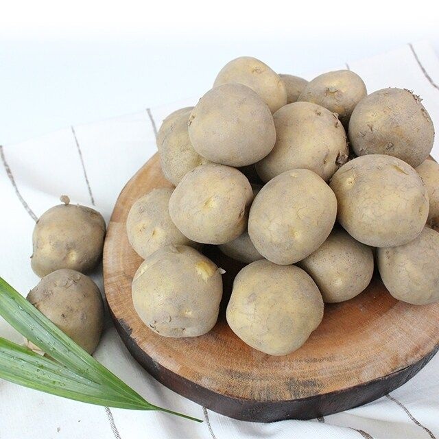 그린팜 [팔도농장] 25년 수확 햇 수미감자(중) 10kg