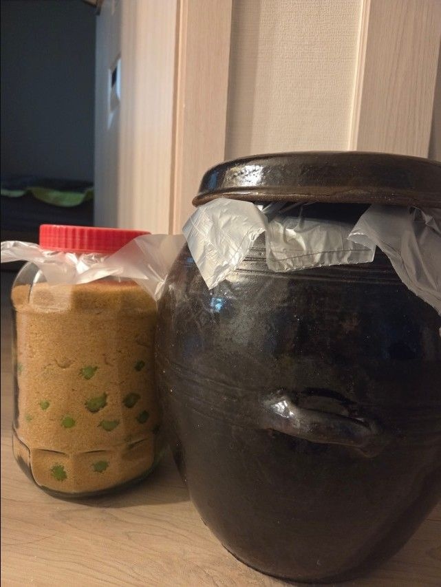 하동 광양매실 황매실 홍매실 청매실 남고매실왕특 장아찌용 생매실(청매실/10kg/대/3.1cm내외/매실청용)