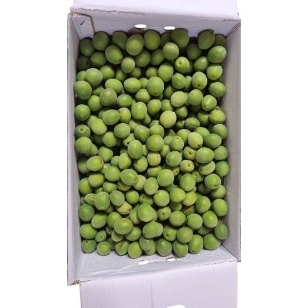 하동 광양매실 황매실 홍매실 청매실 남고매실왕특 장아찌용 생매실(청매실/10kg/상/2.8cm내외/매실청용)