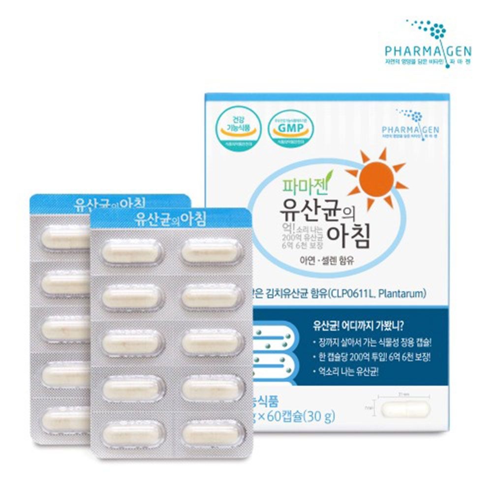 엔테로코커스 엔테로코쿠스 김치유산균 락토바실러스 균 유산균 락티스 비피더스 람노서스