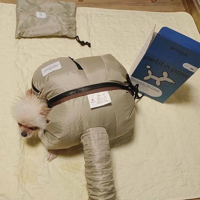 쁘띠앤포 웨어러블 펫드라이기 펫드라이룸 애견건조기 강아지털말리기