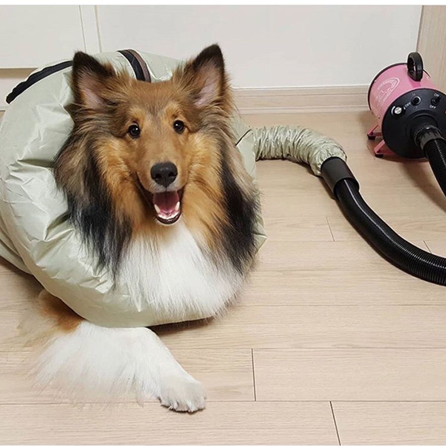 쁘띠앤포 웨어러블 펫드라이기 펫드라이룸 애견건조기 중형견용(M)