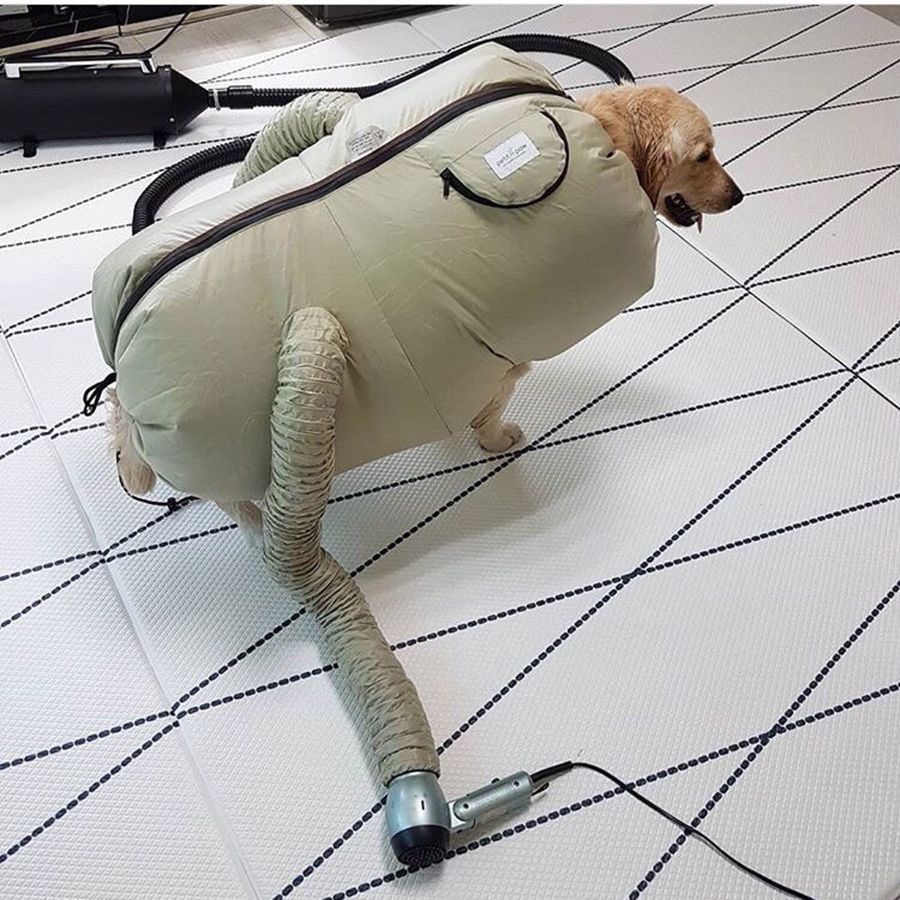 쁘띠앤포 웨어러블 펫드라이기 펫드라이룸 애견건조기 대형견용(L)