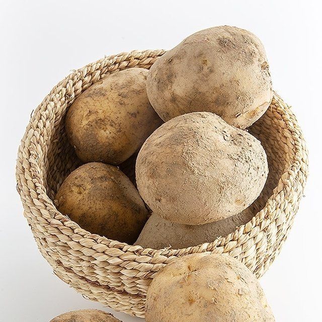 단오감자 5kg 대왕사이즈 혼합