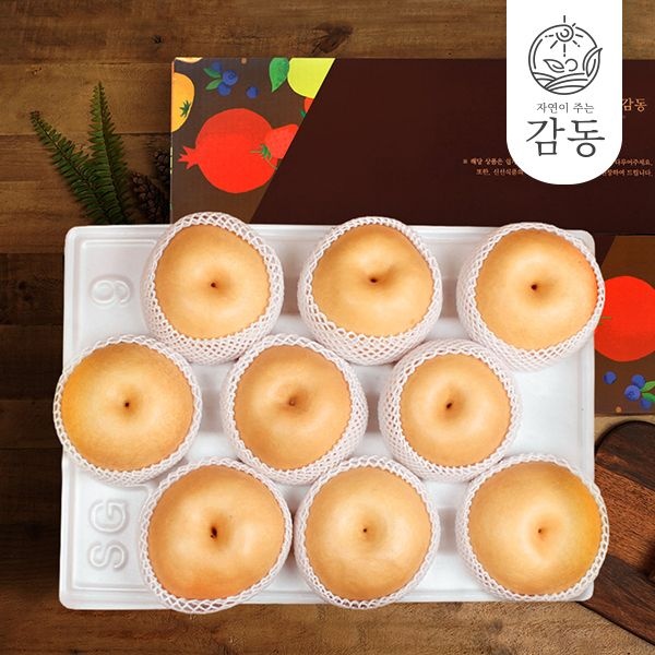 감동 나주배 7.5kg 7-10과 가정용/상품