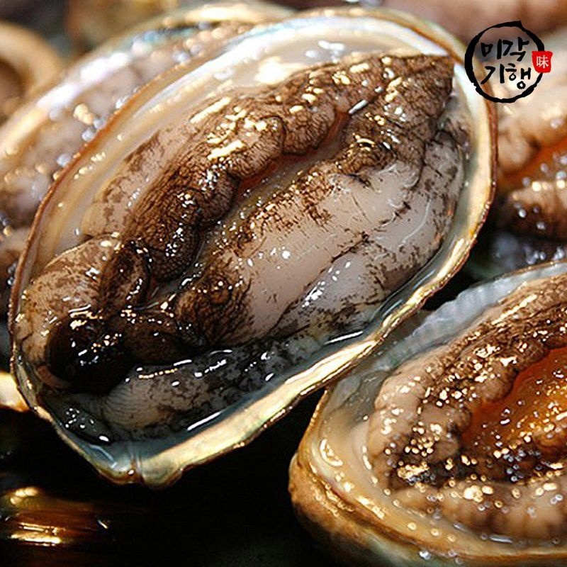 미각기행 완도 전복 7-8미 1kg 선물세트