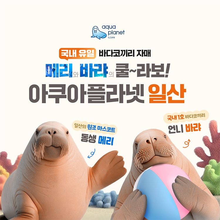 한화아쿠아플라넷 [슈퍼트립] 일산 아쿠아플라넷 입장권 단독특가 프로모션, 이용기간 최대 9월 30일까지, 대인&소인 공통혜택