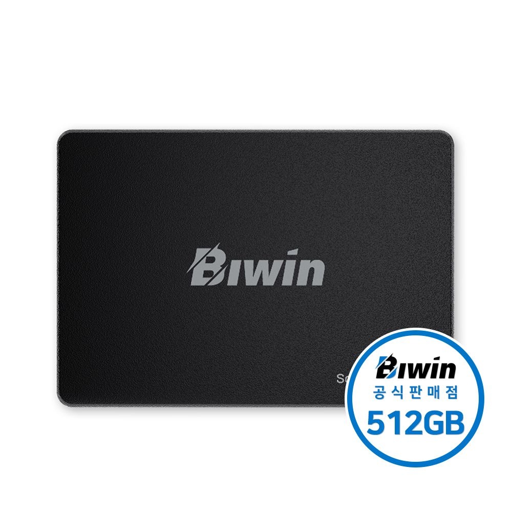비윈 BIWIN M100 2.5인치 SATA SSD 512GB