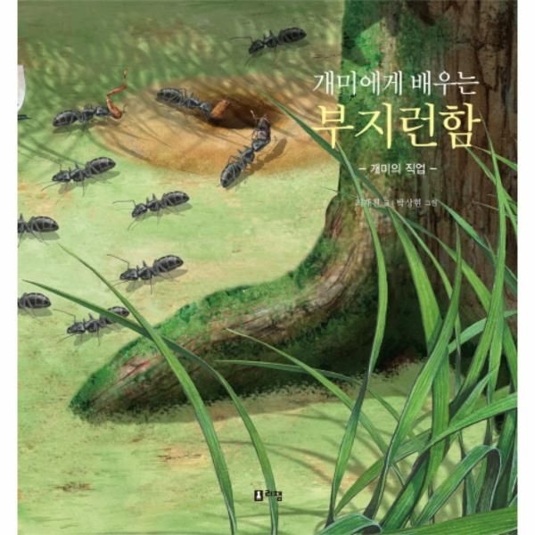[보리보리]개미에게 배우는 부지런함-3(최재천교수의어린이개미미야기)