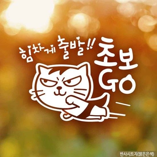 자동차스티커 힘차게출발 초보GO 반사시트지 초보운전 차량용스티커주문제작 차량스티커
