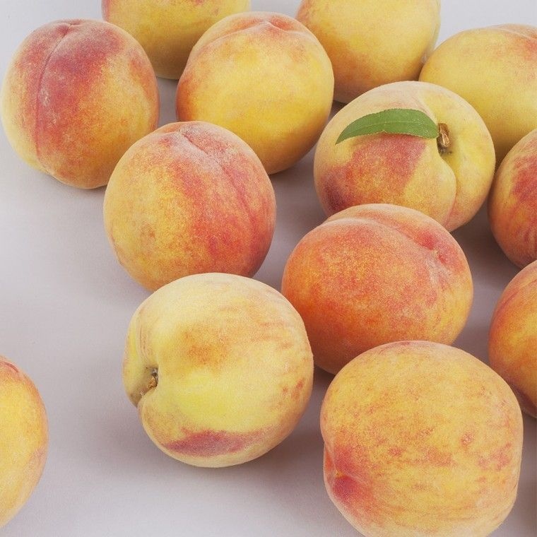 경북 털복숭아 백도 황도 딱딱이 랜덤 4kg 19-20과