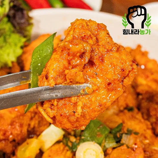 춘천 20년전통 어깨살 순살 닭갈비 간장/양념 (4인분 8인분 10인분)