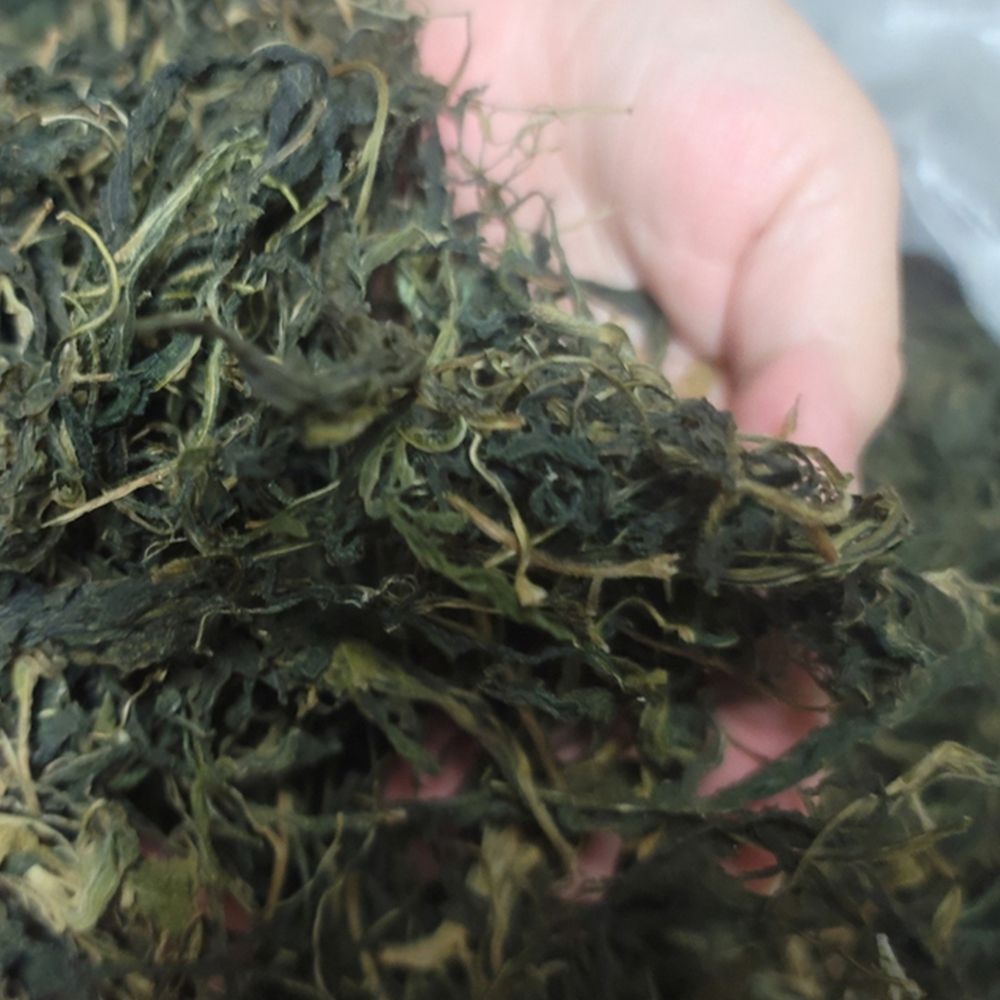 국내산 말린 망초나물100g 국산 자연그대로 손질해놓은 나물