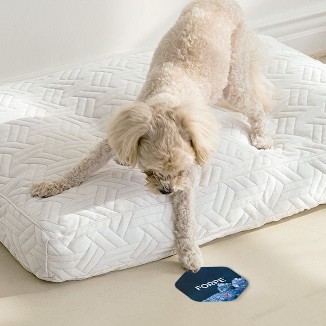 퓨어슬립 (현대Hmall) 퓨어슬립 쿨쿨아이스 포르페 냉감 화이바솜 펫방석세트 L