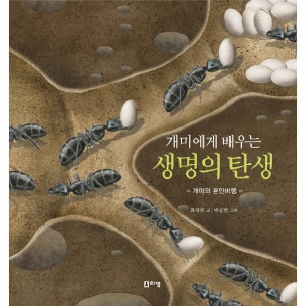 [보리보리]개미에게 배우는 생명의 탄생-2(최재천교수의어린이개미미야기)