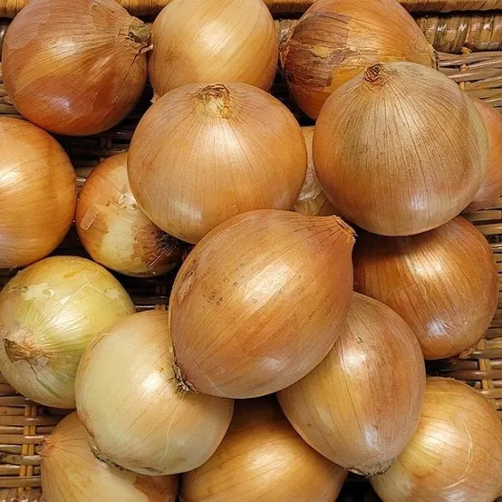 국내산 햇양파 소과 3kg