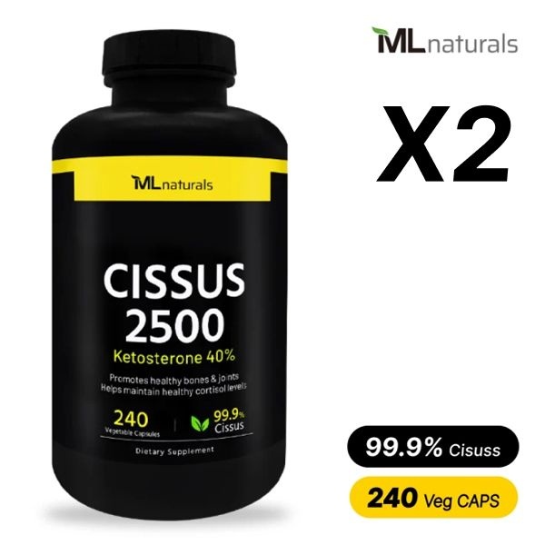 마이라이프 내추럴스 마이라이프 시서스 2500mg 240캡슐 x2병