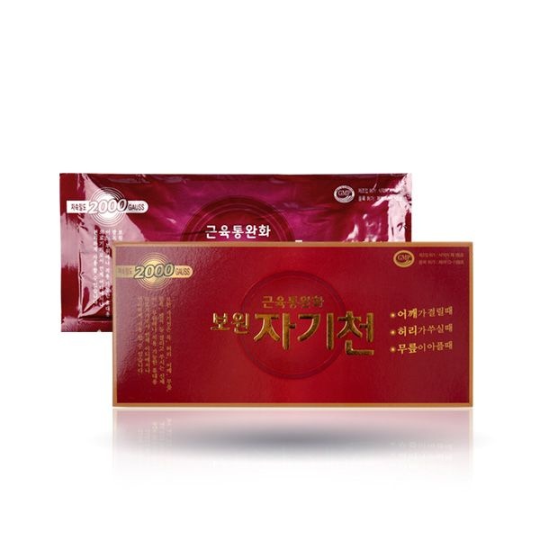 보원 자기천 2000 자석10개입 의료용자기발생기 자석파스