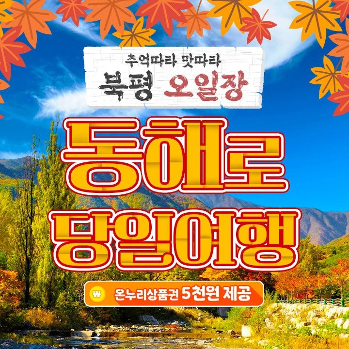 [당일여행] 동해/북평5일장/무릉계곡/추암해변