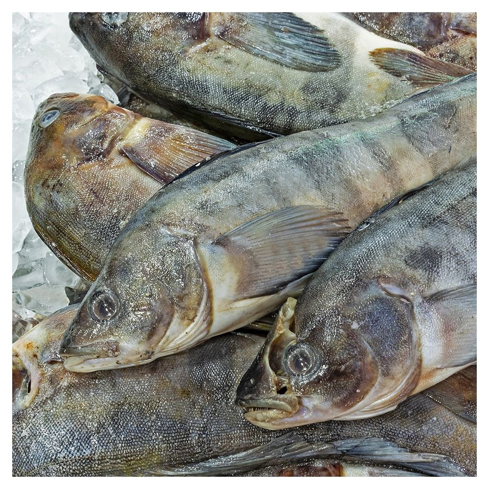 [연중무휴] 냉동임연수어(러시아산) 1미