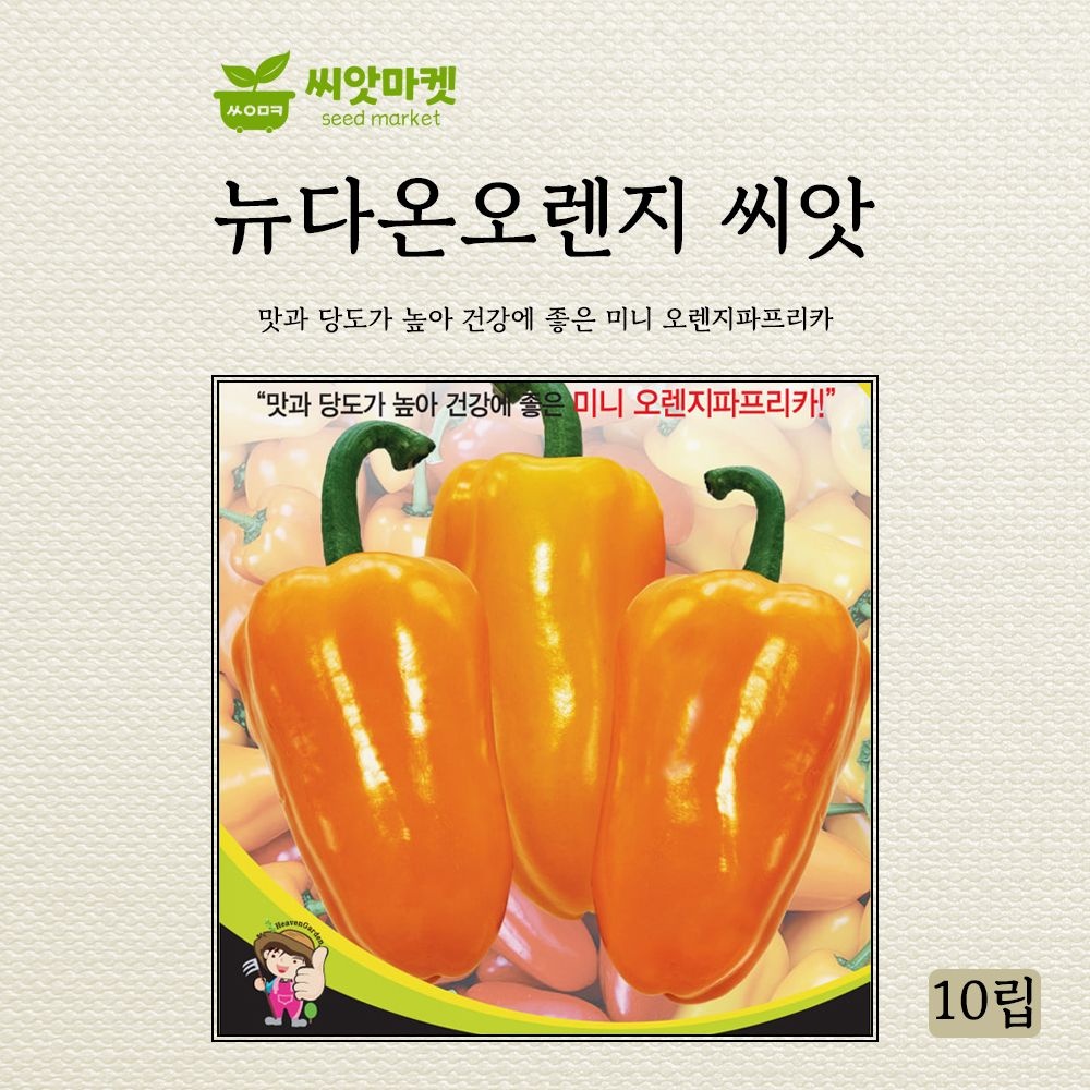 세계종묘 세계종묘 뉴다온오렌지 씨앗 10립 주황 미니 파프리카 피망 씨 종자