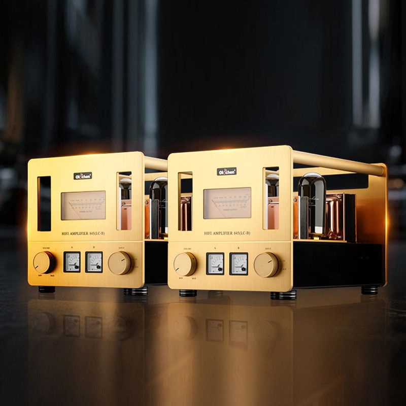 [해외] 고출력 845 LC-05 푸시풀 모노블록 진공관 앰프 100+100W